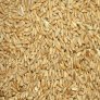 1536056392-wheat